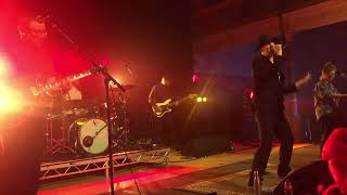 Maximo Park  Your Own Worst Enemy at the Queens Hall [upl. by Fleece]