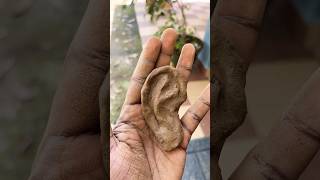 How to make ear in clay 👂🏻youtubeshorts claymodeling clayart trending foryou beginners diy [upl. by Ym]