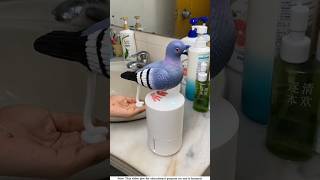 The cream inside my ismart pigeon।🕊️shortvideo amazingfacts [upl. by Ahseined603]