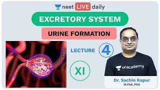 Excretory System  Lecture 4  Unacademy NEET  LIVE DAILY  NEET Biology  Dr Sachin Kapur [upl. by Eilssel]