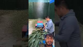 Ghas cutting machine agriculture satisfying farming grasscutting shorts funny shortsfeed [upl. by Navap]