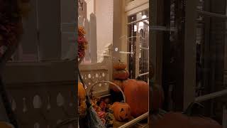 Gibson Girl Ice Cream Parlor Window Display disneyland halloweendecorations mainstreetdisneyland [upl. by Marriott]