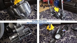 The mint Dyson DC19  After Refurbishment amp Repair [upl. by Ivar291]