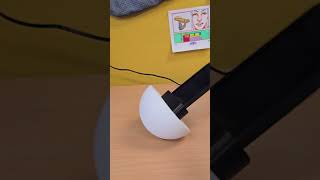 too weeble or wobble🧐 adhd 3dprinting desktop weebleforce fypシ゚viral new entrepreneur weeble [upl. by Mcclain]