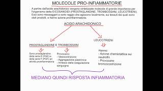 CORSO DI BIOCHIMICA  LEZIONE 37 DI 47  BIOSINTESI ACIDI GRASSI  PROSTAGLANDINE ETC  PARTE 5 [upl. by Aneehc539]