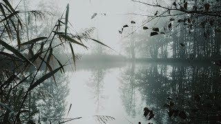 The Lady of Shalott by Alfred Lord Tennyson  British accent read by Ben W Smith [upl. by Ongun]