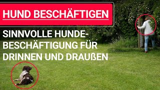 🐶 Hund beschäftigen ➡️ Sinnvolle Hundebeschäftigung für drinnen und draußen 🐶✔️ [upl. by Alic]