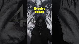 5 DATOS ATERRADORES que NO TE DEJARAN DORMIR Vol 6 paranormal losobrenatural miedo [upl. by Mundt]