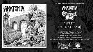 Anatomia  Eternal Rot  quotSplitquot Full Album Stream  Gurgling Gore 2024 [upl. by Joost]