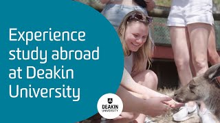 Experience study abroad at Deakin University [upl. by Grethel]