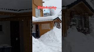 Winter is coming in Norway bergen norway winter shorts travel lifeinnorway [upl. by Rehoptsirhc]