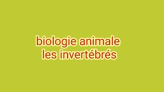 biologie animale les invertébrés  cnidaire [upl. by Bonney640]