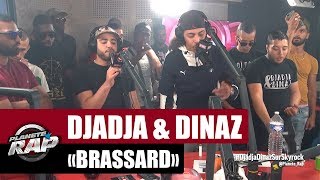 Djadja amp Dinaz quotBrassardquot PlanèteRap [upl. by Wylma402]