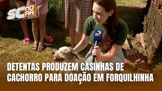 Detentas da Penitenciária Sul produzem casinhas de cachorro para doação em projeto social [upl. by Norrahs]