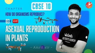 How Do Organisms Reproduce Part 3 Asexual Reproduction in Plants Class10 BiologyVedantu910 [upl. by Anhaj]