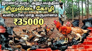 இரண்டு வருட அனுபவம் சிறுவிடை கோழி வளர்ப்பில் மாதம் 35000 வரை வருமானம்  madurai desi chicken farm [upl. by Aziul]