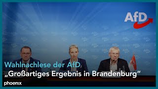 AfD zur Wahlnachlese der Landtagswahlen in Brandenburg [upl. by Solly]