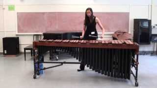 Libertango by Eric Sammut Marimba 马林巴木琴 [upl. by Suriaj]