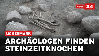 Steinzeitfund Archäologische Entdeckung in der Uckermark [upl. by Meehyrb]