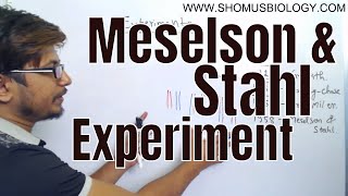 Meselson and Stahl experiment [upl. by Itnuahsa574]