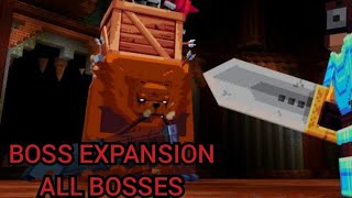 Minecraft Boss Expansion All Bosses  Marketplace Map [upl. by Zakaria]