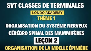 COURS SVT TS2 LONDO AKADEMY  THÈME 1  LEÇON 2  ORGANISATION DE L’ENCÉPHALE DES MAMMIFÈRES [upl. by Ginsburg]