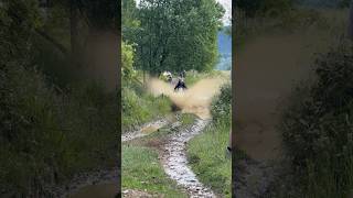 Tenere 700 Vs Deep Puddles check it out riders enduro adventuremotorcycle offroad [upl. by Alekal]