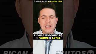 CONTAGIO 🚨 fiebre mortal mosquitos urgente [upl. by Raseac212]