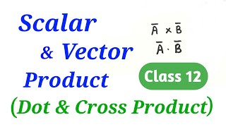 Scalar amp Vector product  Dot amp Cross Product  Vectors  Maths  12th HSC Science [upl. by Perceval]