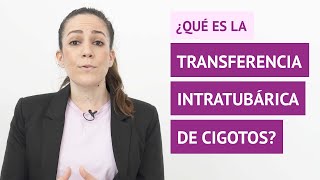 ¿Qué es la transferencia intratubárica de cigotos o ZIFT ¿Cuáles son sus ventajas e inconvenientes [upl. by Ailecnarf]