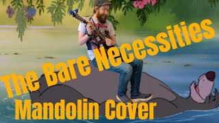 The Bare Necessities Disney Mandolin Cover [upl. by Cirad]