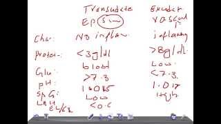 QUICK PATHOLOGY Transudate Vs Exudate pleural effusion [upl. by Htelimay]