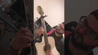 Radicamos en south central  Requinto Cover fuerzaregida takamine corridos 12stringguitar like [upl. by Raynor960]