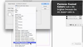 InDesign CS6 103 Working With Color  10 Adding a Pantone Color [upl. by Shotton253]