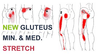 Stretches For Hip And Leg Pain  Gluteus Medius Pain [upl. by Nidya]