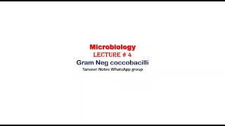 microbiology lecture 4 Gram negative coccobacilli [upl. by Dill681]