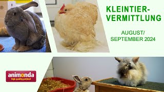 Kleintiervermittlung  AugustSeptember 2024 Tierheim Hannover TV [upl. by Saffian]