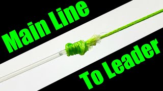 How to Tie a Leader to a Main Line  For Beginners [upl. by Ynohtnaluap]