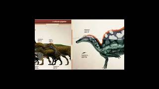 theropod dinosaur size comparison dinosaurs prehistoric mesozoic [upl. by Aicella]