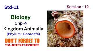 Biology Std 11 chp4  Kingdom Animalia Session12 Phylum chordata kingdomanimalia [upl. by Annehsat656]