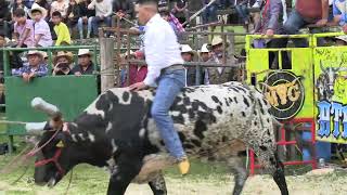 TEJON DE SEVINA VS LECHE CONFLEIS DE RANCHO EL DORADO ¡¡ JARIPEO EN AROCUTIN MICH 10 DE SEP 2024 [upl. by Torrin]