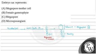 Embryo sac represents [upl. by Schonfield]