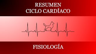 FASES DEL CICLO CARDÍACO  SÍSTOLE Y DIASTOLE  FISIOLOGÍA [upl. by Uriisa]