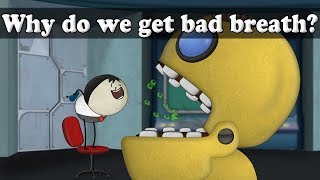 Why do we get bad breath  aumsum kids science education children [upl. by Vin523]