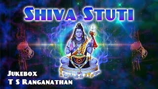 Shiva Songs In Tamil  Lingashtakam  Bilvashtakam  Shiv Tandav Stotram  T S Ranganathan [upl. by Noek]