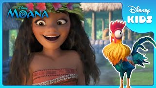 Heiheis Funny Moments 🐔  Moana  Disney Kids [upl. by Yordan]