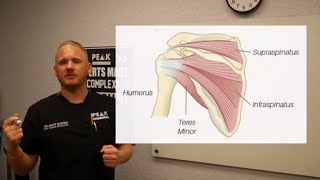 Winging Scapula Explained and How To Fix Shoulder Pain [upl. by Moore92]