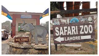 Visit To Safari Park Lahore  Family Day Out At Safari Zoo Park  Memory Of Pakistan [upl. by Ycart]