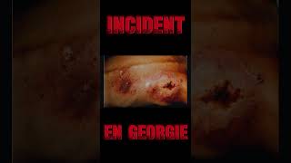 INCIDENT EN GEORGIE  UN CAUCHEMAR RADIOACTIF DANS LA FORET film [upl. by Ramsey]