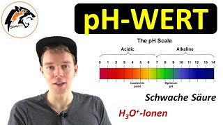 Der pHWert erklärt  NEU [upl. by Aicilec]